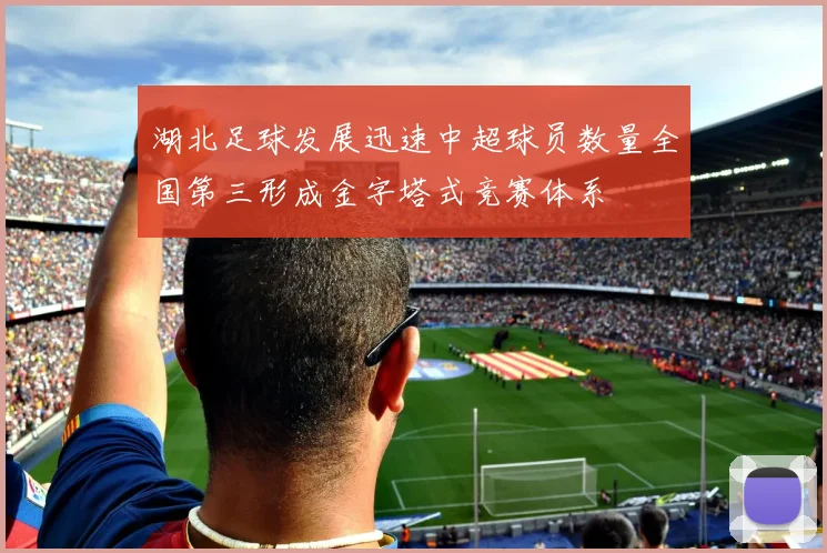 湖北足球发展迅速中超球员数量全国第三形成金字塔式竞赛体系