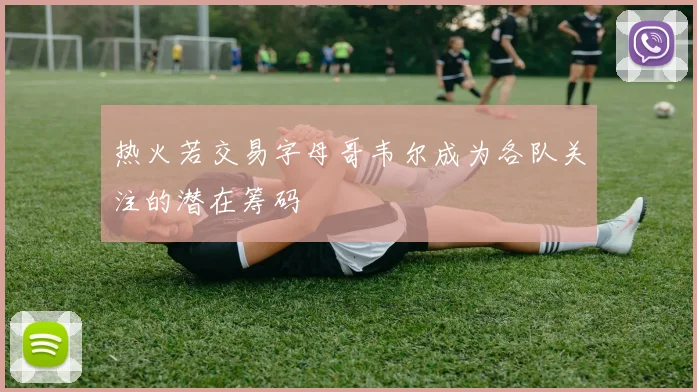 热火若交易字母哥韦尔成为各队关注的潜在筹码
